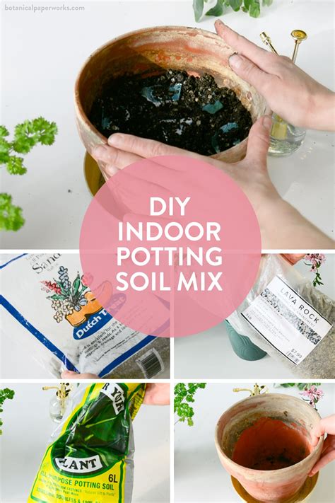Turn Your Garden into a Magical Wonderland with Plant Potting Soil